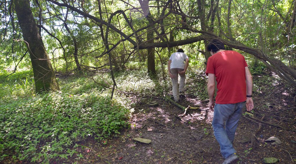 Comenzaron las visitas guiadas a la Reserva Ecológica Ciudad Universitaria.